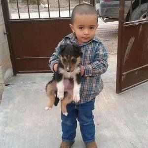 Meet your Posher, Edgar y viry